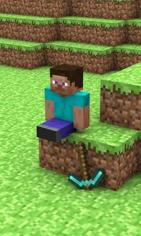 Wallpaper Skin For Minecraft screenshot 1