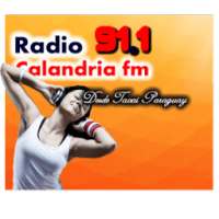 Calandria Fm 91.1 on 9Apps