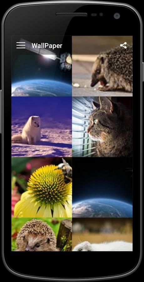 Wonderful Wallpaper screenshot 3