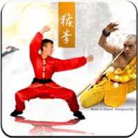 KungFu Combat