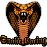 ikon Snake cacing