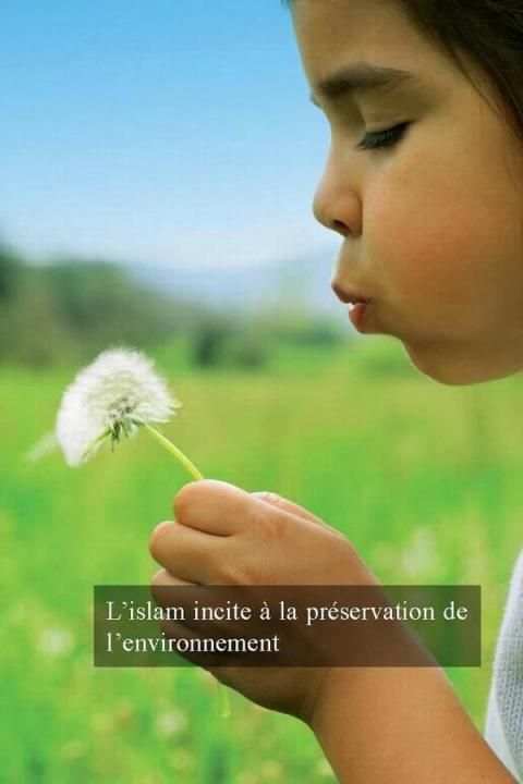 Les qualités morales en Islam screenshot 3