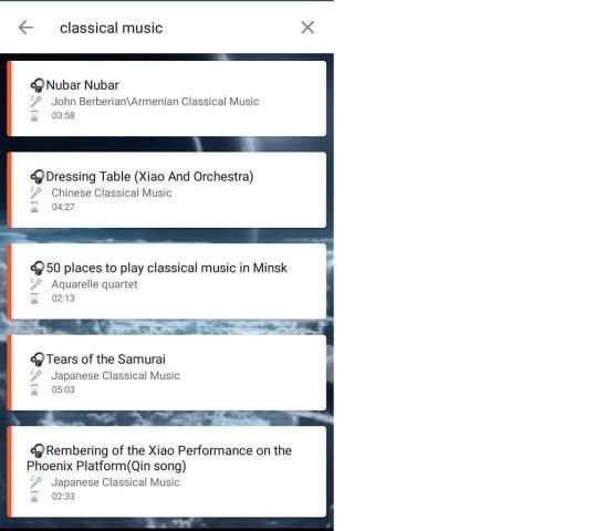 Gray Music Downloader screenshot 6