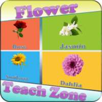 Flower Teach Zone