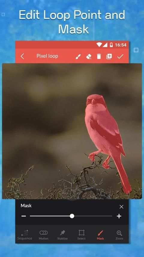 Loopgram - Live Photo Animator स्क्रीनशॉट 2