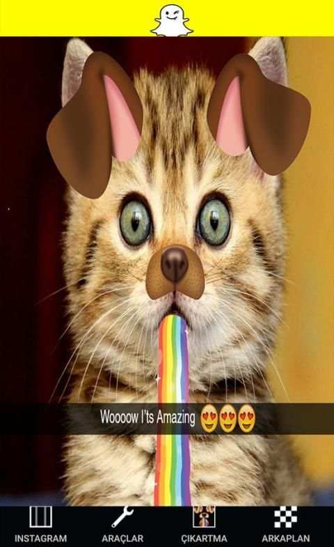 Camera Snappy Cats स्क्रीनशॉट 1
