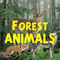 Forest Animals on 9Apps