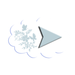 Real Time Video Player icon