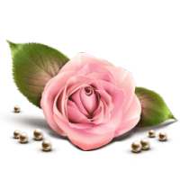 برای زندگی بهتر Better Life आइकन