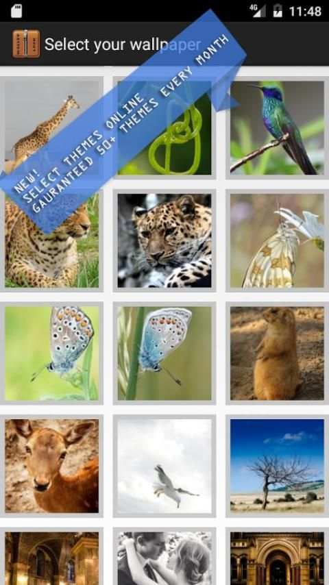 Wallet Lock Screen screenshot 23