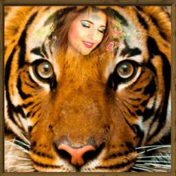 Tiger Photo Frames