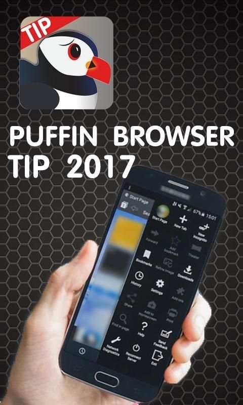 New Puffin Browser Tip 2017 screenshot 2