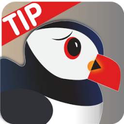 New Puffin Browser Tip 2017 1.0