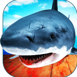 raft craft survival أيقونة