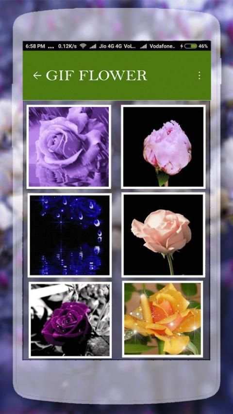 Flower GIF Collection screenshot 4
