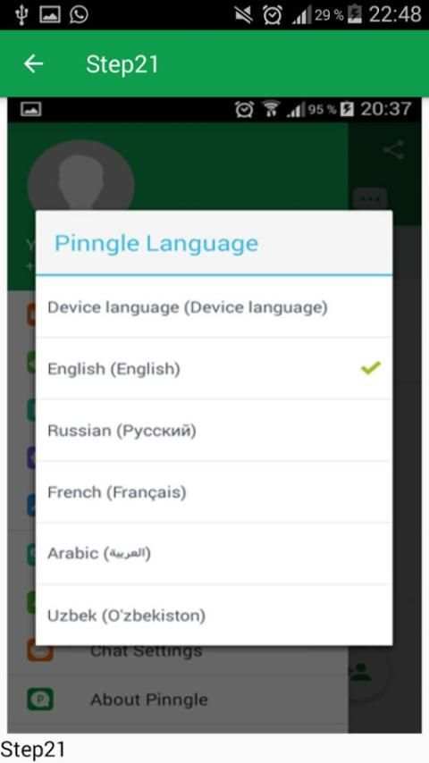 Guide for pinngle screenshot 4