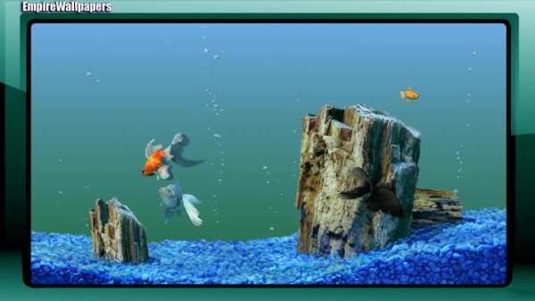 Aquarium Pack 2 Wallpaper screenshot 4