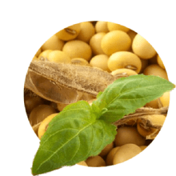 Soja_Invest أيقونة