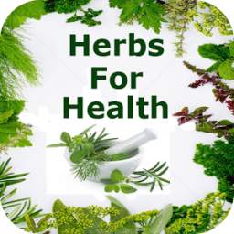 Herbs For Health