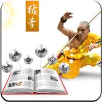 KungFu Manual on 9Apps