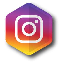 Seguidores Instagram GoInstagr 1.0.2
