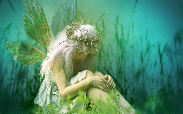 Fairy Wallpaper स्क्रीनशॉट 2