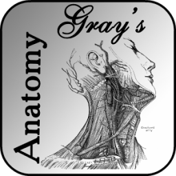 Gray's Anatomy 2012 Lite icon