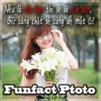 Anh Tam Trang, Che Anh Status on 9Apps