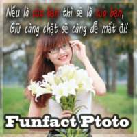 Anh Tam Trang, Che Anh Status