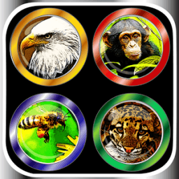 100'+ Animal Sounds &amp; Buttons आइकन