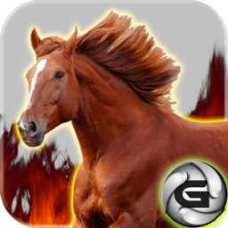 Horse Rush 3D आइकन