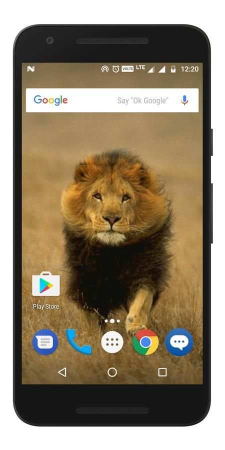 Animals & Birds - Wallpapers स्क्रीनशॉट 1