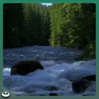 Waterfall National Park on 9Apps