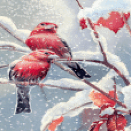 Snow Birds live Wallpaper иконка