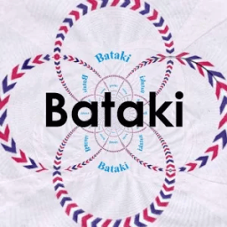 ikon Réseau social Bataki