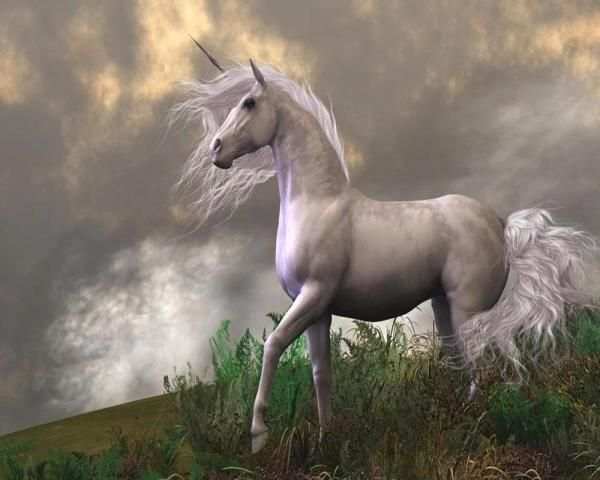 Fantasy Unicorn Puzzle screenshot 5