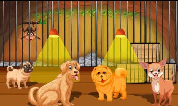 Pet Shop Cashier screenshot 5