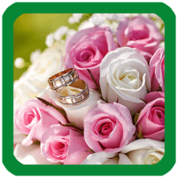 Roses Flowers Wallpaper иконка