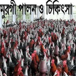 ikon মুরগী পালন ও চিকিৎসা