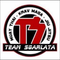 Team Sgarlata Martial Arts on 9Apps