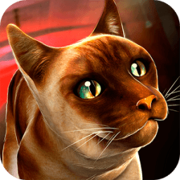 Oh my Cat! Кошки Гонки иконка