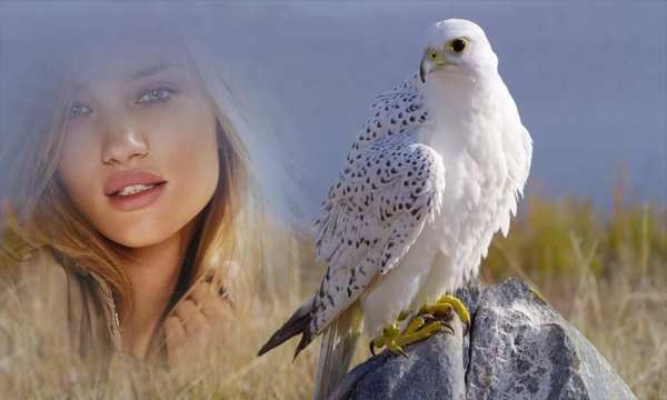 Birds Photo Frames скриншот 1