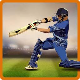 CricAstics 3D Cricket Game
