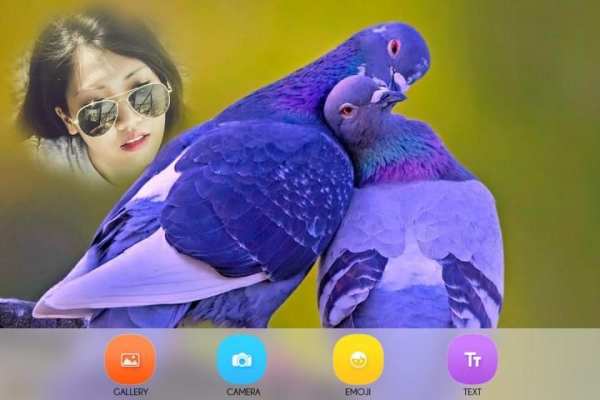 Birds Photo Frames screenshot 4