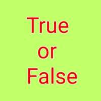 True or False game