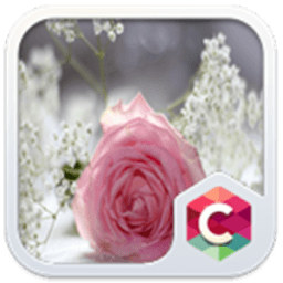 Pretty Pink Rose Theme आइकन