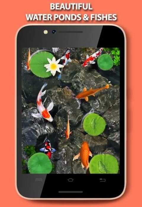 Fishes In Pond Live Wallpaper screenshot 3
