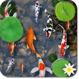 Fishes In Pond Live Wallpaper иконка