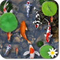 Fishes In Pond Live Wallpaper on 9Apps