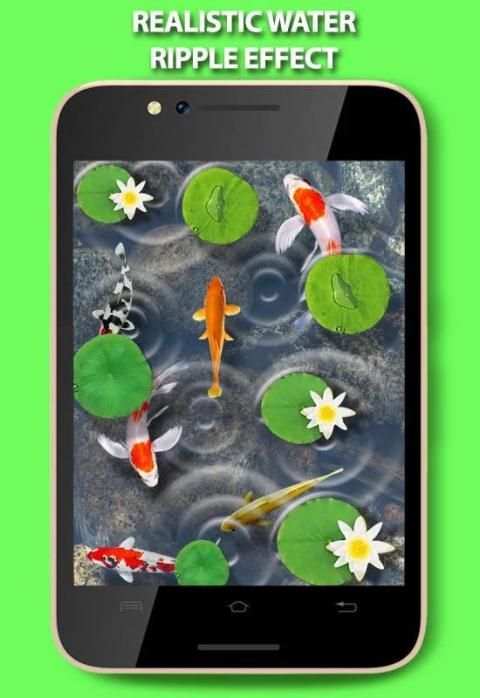 Fishes In Pond Live Wallpaper स्क्रीनशॉट 7